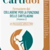 Cartidol Integratore per Articolazioni con Glucosamina Condroitina Collagene 45 Compresse