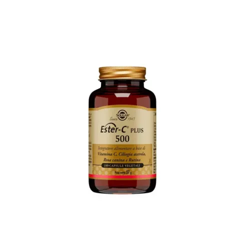 Ester-C Plus 500 100 capsule