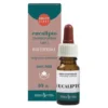Eucalipto Olio Essenziale 10 ml