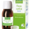 Ficus Carica Gemme Macerato Glicerico 60 ml