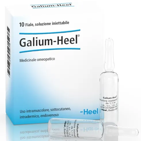 Galium Heel 10 Fiale 1,1 ml