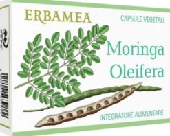 Moringa Oleifera 24 capsule
