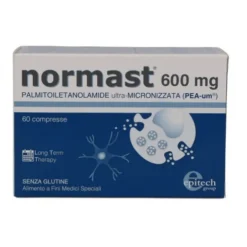 Normast 600 Mg 60 Compresse
