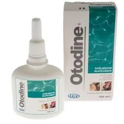 Otodine Detergente Liquido 100 ml