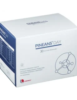 Pineans Day 30 Bustine