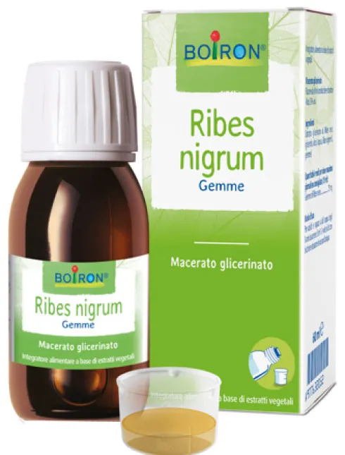 Ribes Nigrum Macerato Glicerico 60 ml