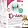 Salugea Cartilagea 18 flaconi