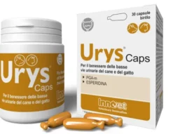 Urys Caps 30 capsule