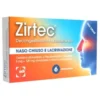 Zirtec Decongestionante Antistaminico 5 mg + 120 mg 6 Compresse a Rilascio Prolungato